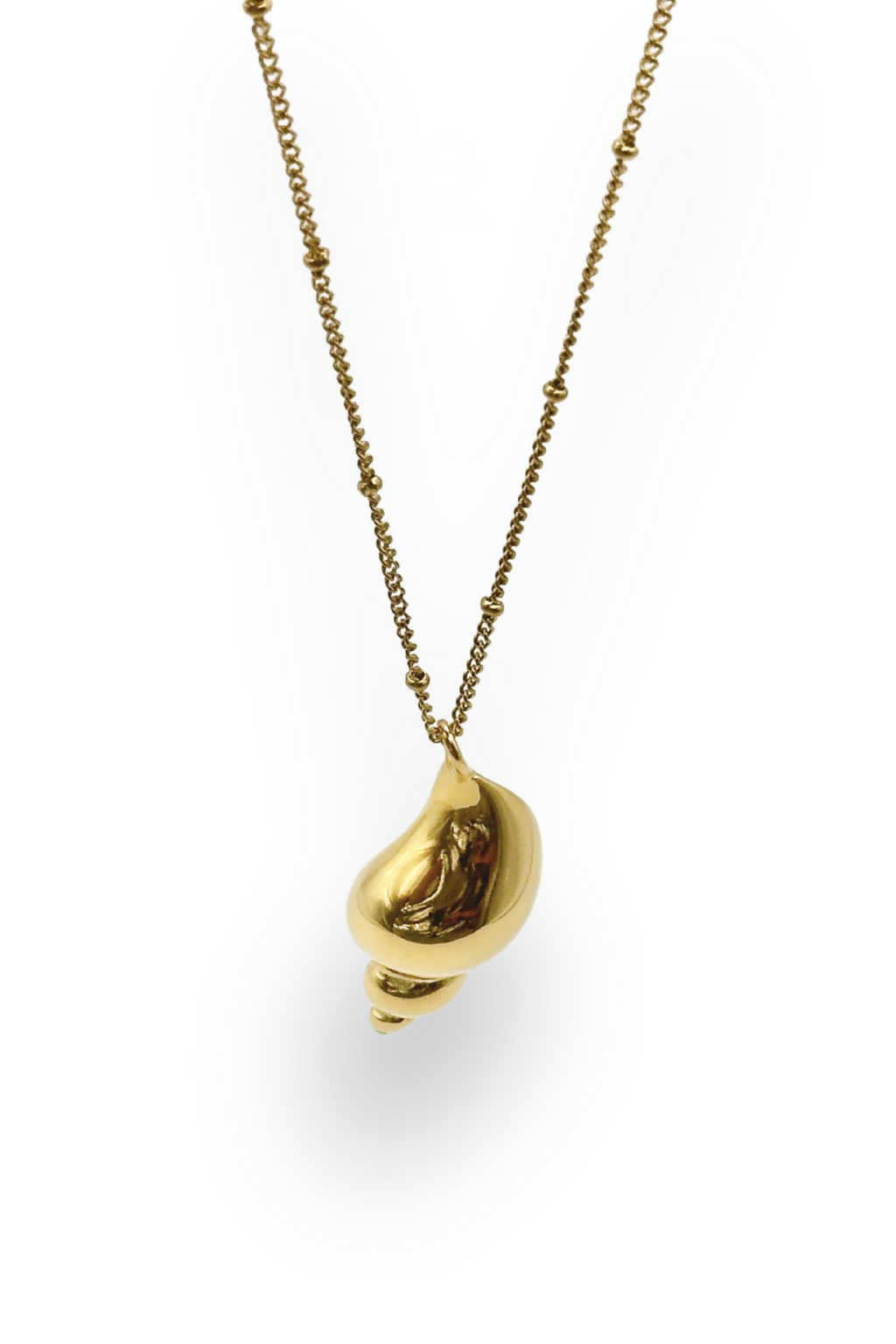 CARACOL DORADO