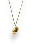 CARACOL DORADO